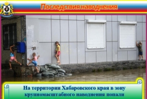 Ликвидация последствий крупномасштабного наводнения на территории края