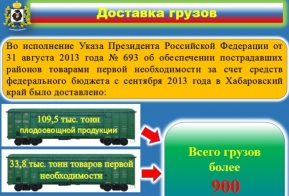 Ликвидация последствий крупномасштабного наводнения на территории края
